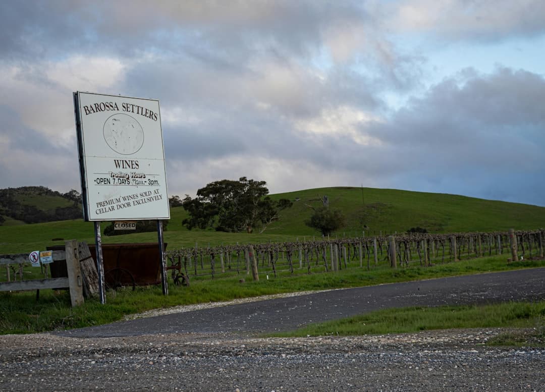 A modern rental car parked on a gravel track amidst sun-drenched vineyards in the Barossa Valley, ready for a wine tour.