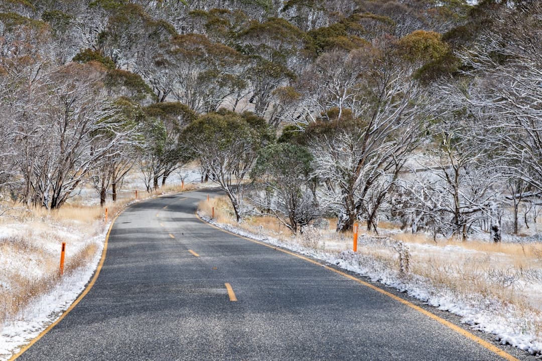 White SUV rental car driving on a damp, winding country road through lush Yarra Valley scenery in winter.