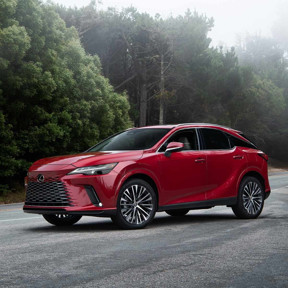 2015, Lexus RX, Luxury SUV car hire